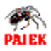 网络分析软件pajek V1.2