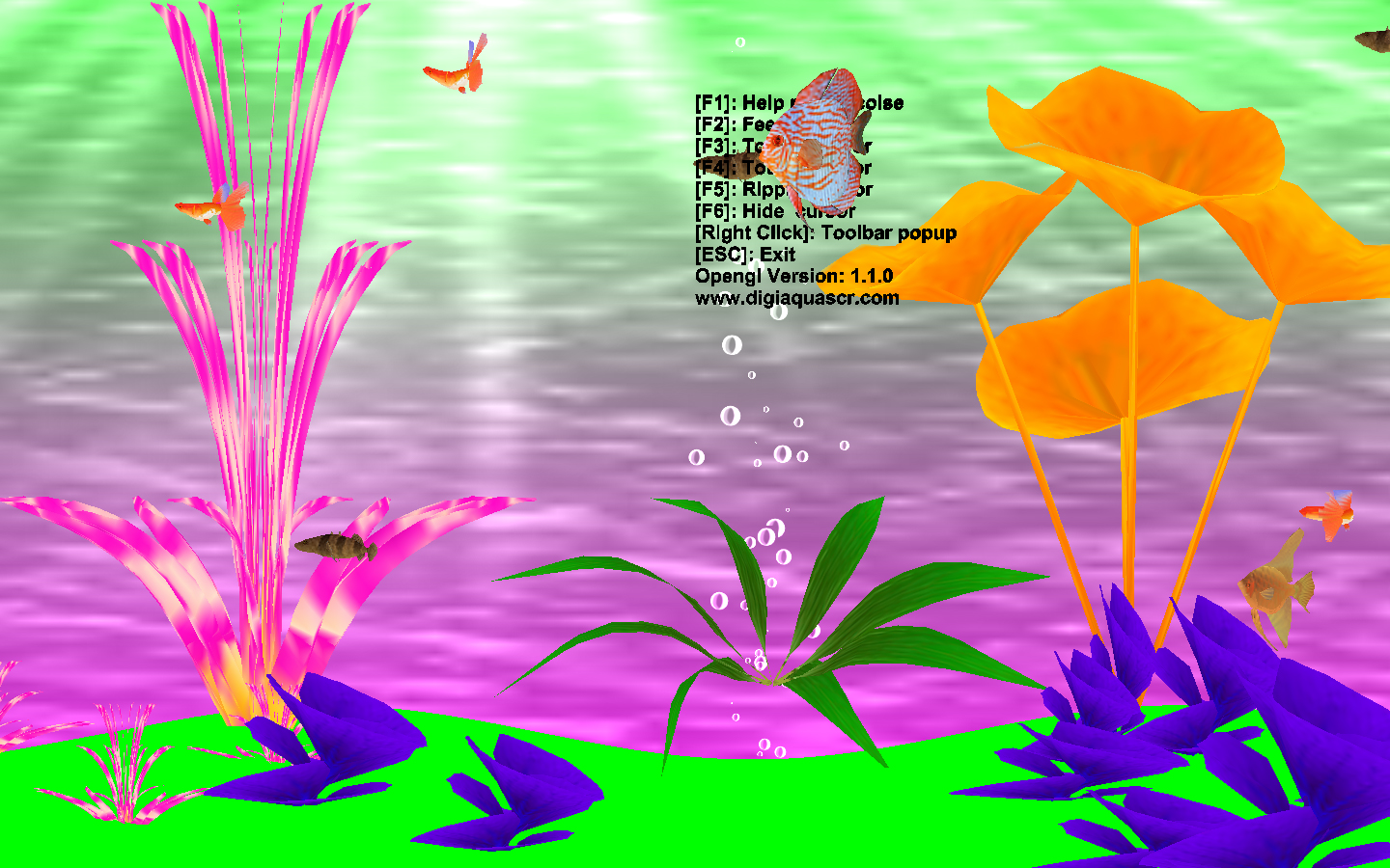 Dream Aquarium(梦幻水族馆屏保) V1.4 英文版
