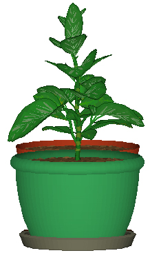 DesktopPlant(桌面植物) V3.6.1