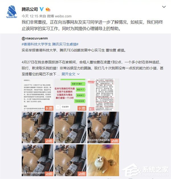 腾讯女实习生虐猫遭网友举报（附相关视频）