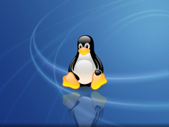 Linux如何通过修改参数优化性能