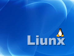 Linux如何实现shell命令的远程控制