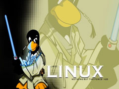 Linux如何使用stty命令