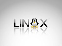 Linux系统如何使用tcpdump命令