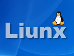 linux系统中重新分配IP地址的方法