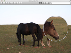 Mac如何开启预览应用的放大镜功能
