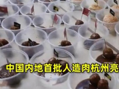 首批国产人造肉亮相杭州阿里食堂