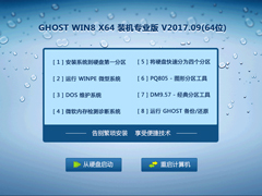 GHOST WIN8 X64 装机专业版 V2017.09(64位)